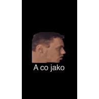 _ACO- emblem