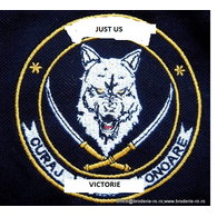 J-US emblem