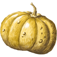 TYKEV emblem
