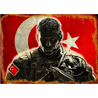 TENO emblem