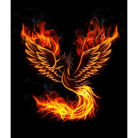FNXCZ emblem