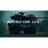 BSFL emblem