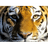 B_24 emblem