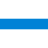 RUNEW emblem