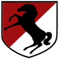 ACR11 emblem