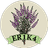 ER1K4 emblem