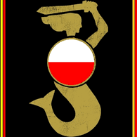 S3R4F emblem