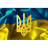 S_S_H emblem