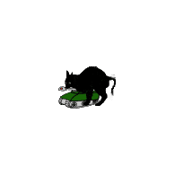MIAOU emblem