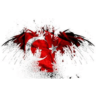 ARMYY emblem