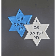 AMISR emblem