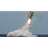 PR0UT emblem