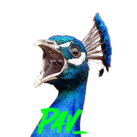 PAV_ emblem