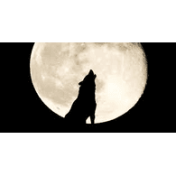 ROCW emblem
