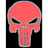 73RCS emblem
