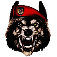 AJME emblem