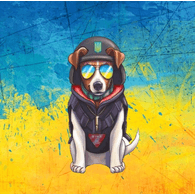 HIMER emblem