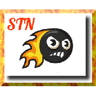 STN emblem
