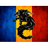BH_RO emblem