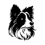 BOCO emblem