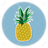 KSTO emblem