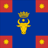 BRONI emblem