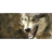DOLG emblem