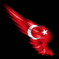 TTF- emblem