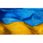 UASID emblem