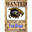 FUN-H emblem