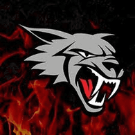 -W_B emblem