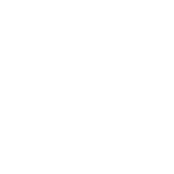 SETKA emblem
