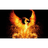 IRTAL emblem