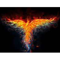 _FX_ emblem