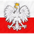 N_S_Z emblem