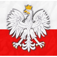 N_S_Z emblem