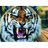 TICER emblem