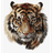 CBNCT emblem