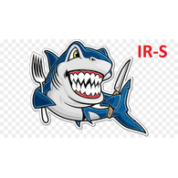 IR-S emblem