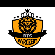 IBTSI emblem