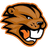 A_CH emblem