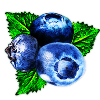 OBST emblem