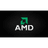 CZAMD emblem
