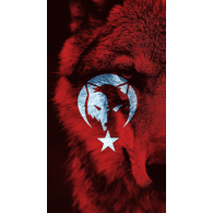 __TR_ emblem