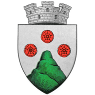 24R emblem