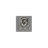 G-100 emblem