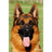 N-N-N emblem