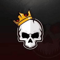 S-DE emblem