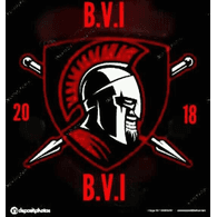 BVI emblem