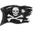 CAPA emblem